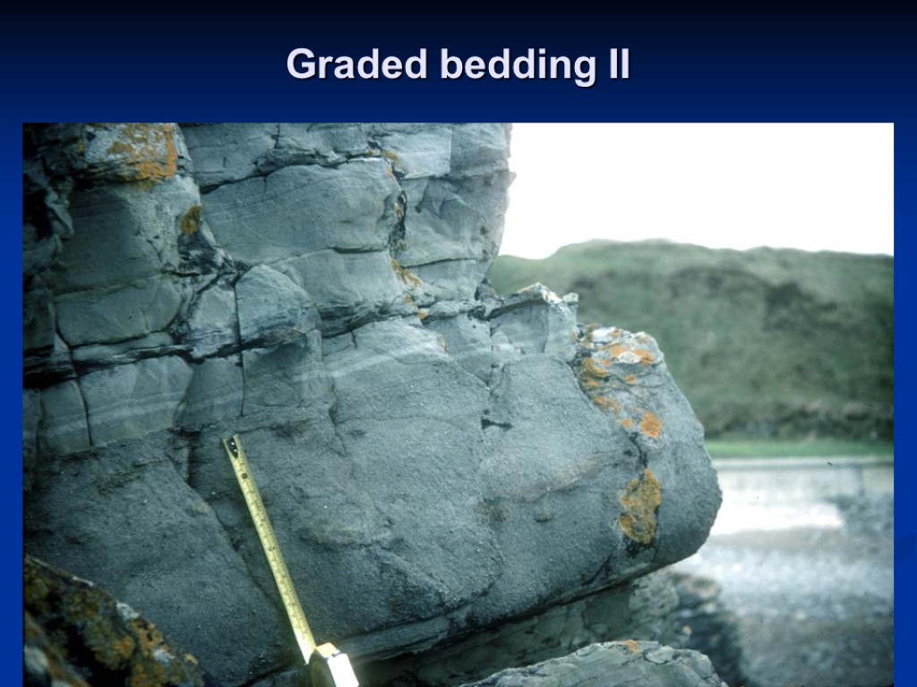 Graded bedding II